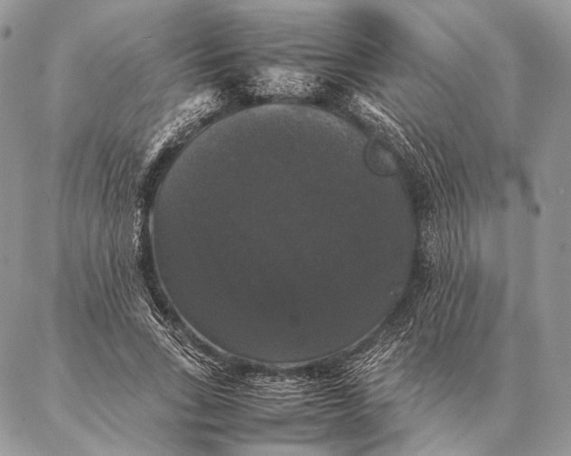 X0000087020735200704301313