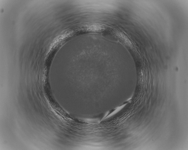 X0000087020736200704301313