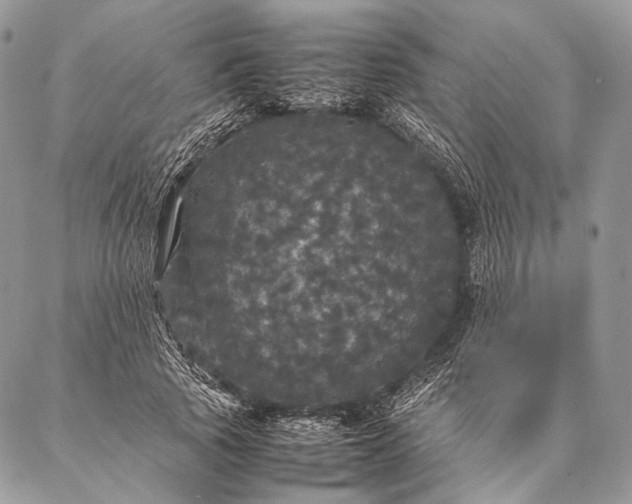 X0000087020737200704301314