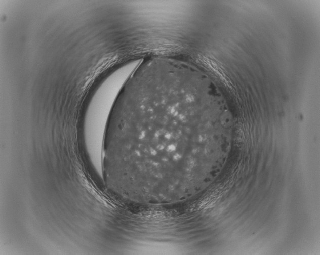 X0000087020738200704301314