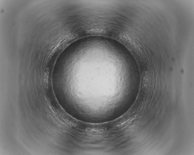 X0000087020739200704301314