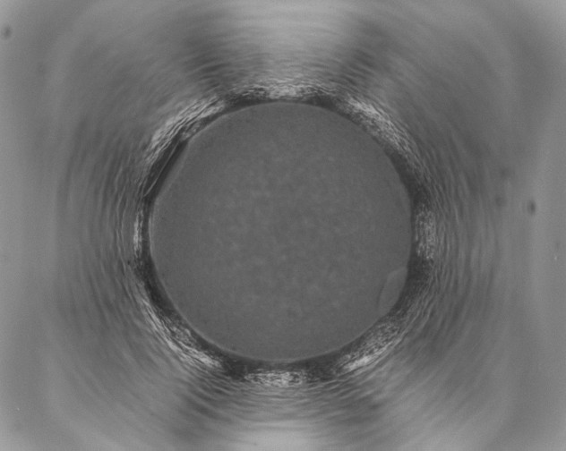 X0000087020740200704301314