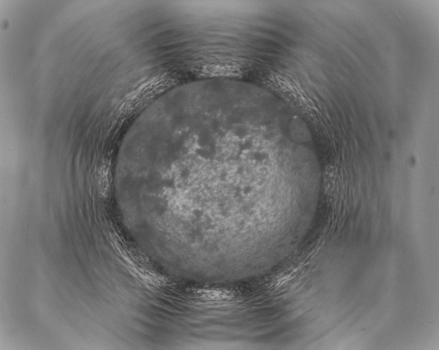 X0000087020741200704301314