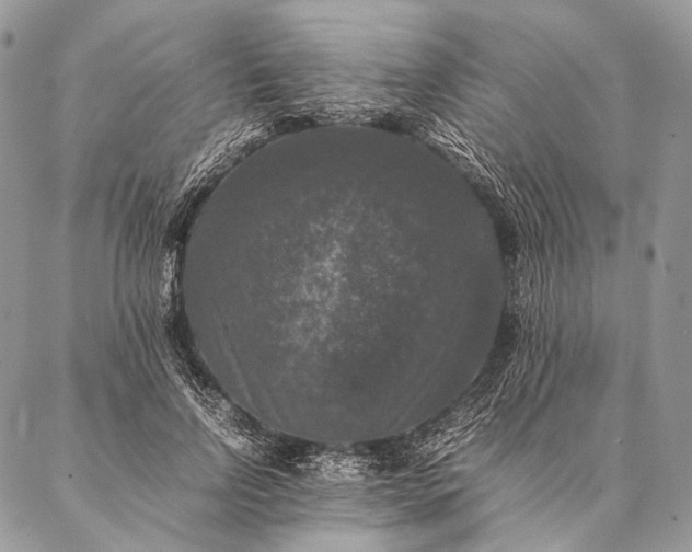 X0000087020742200704301314