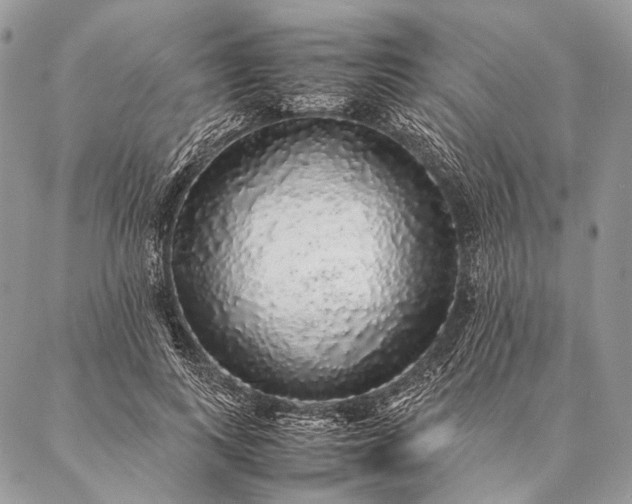 X0000087020743200704301314