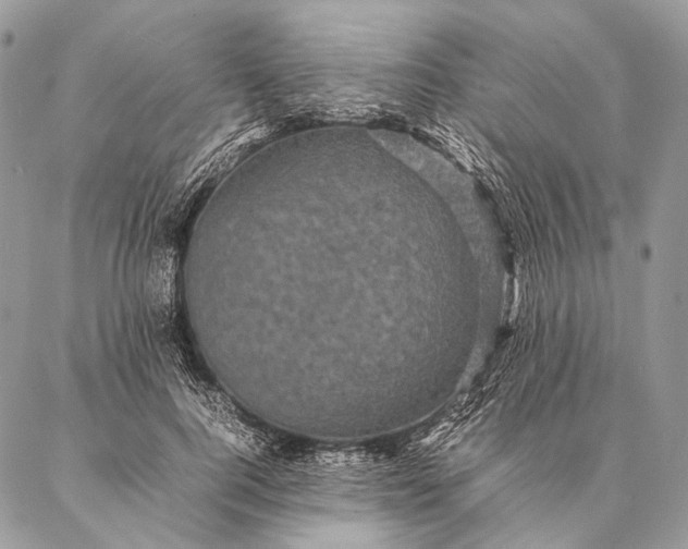 X0000087020744200704301314