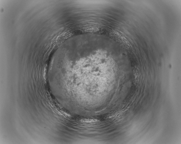 X0000087020745200704301314