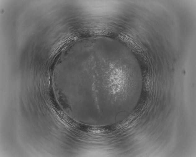 X0000087020746200704301314