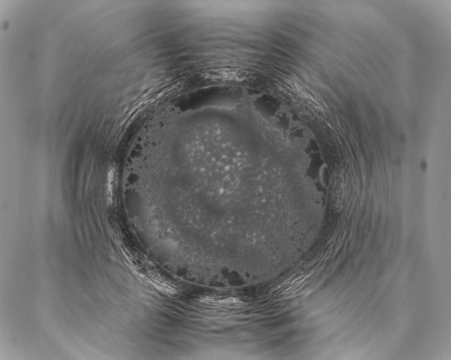 X0000087020747200704301314