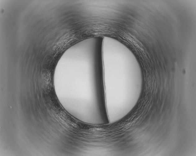 X0000087020748200704301314