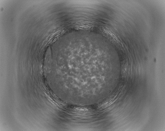 X0000087020749200704301314