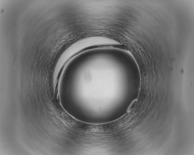 X0000087020750200704301314