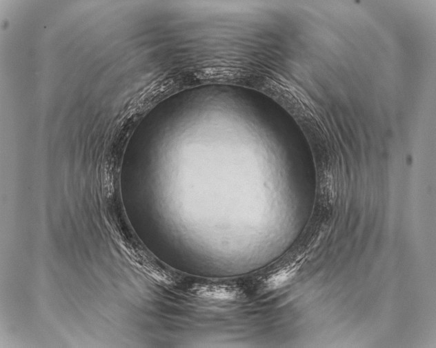 X0000087020751200704301314