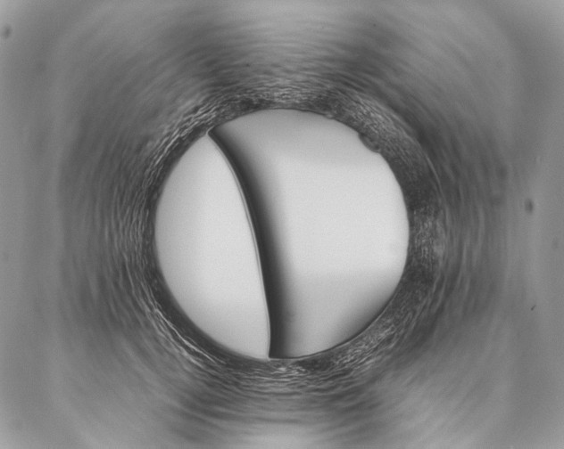 X0000087020752200704301314