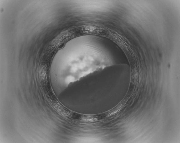 X0000087020754200704301314