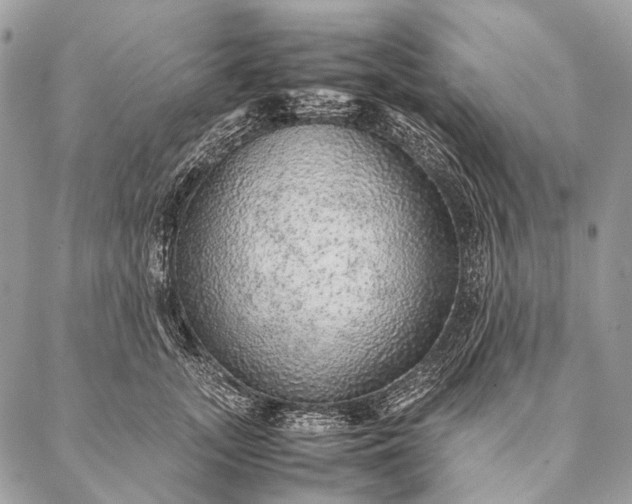 X0000087020755200704301314