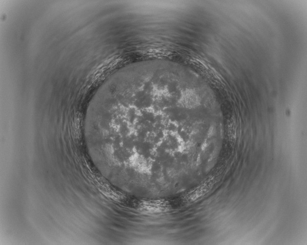 X0000087020757200704301314