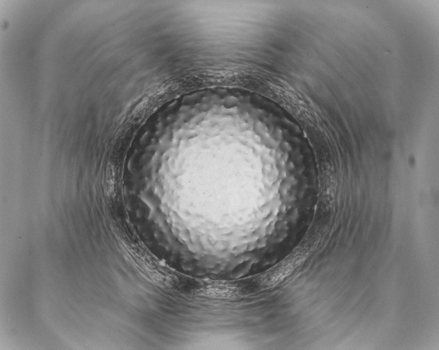 X0000087020758200704301314