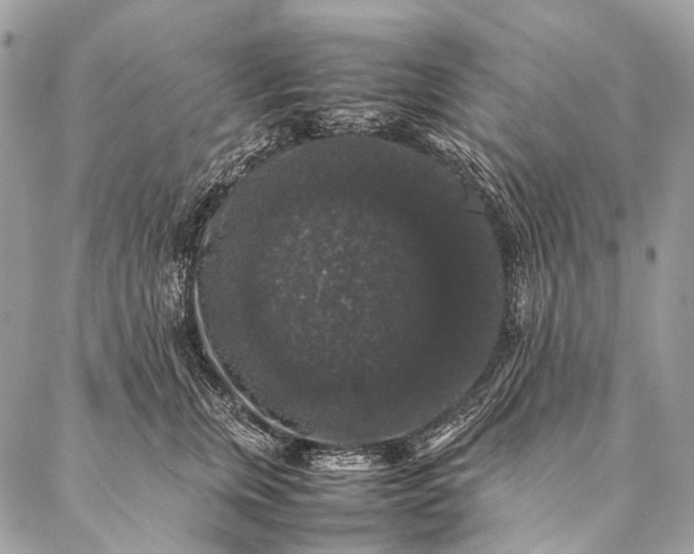 X0000087020759200704301314