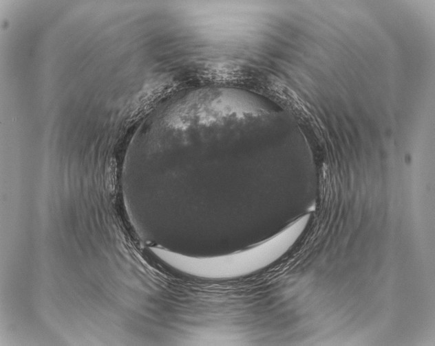 X0000087020760200704301314