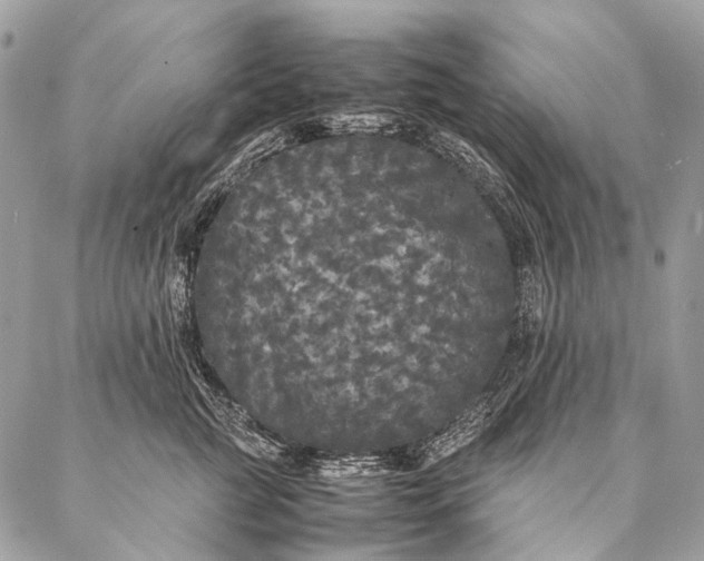 X0000087020761200704301314