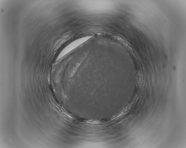 X0000087020762200704301314