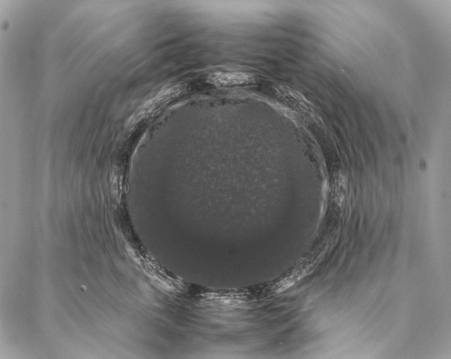 X0000087020763200704301314