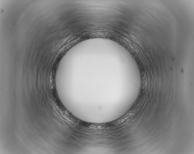 X0000087020764200704301314