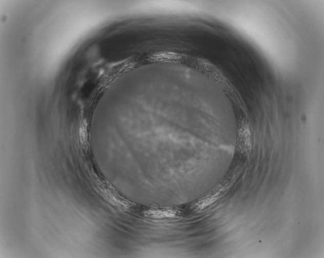 X0000087020765200704301314