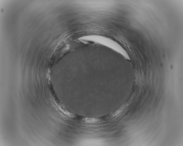 X0000087020766200704301314