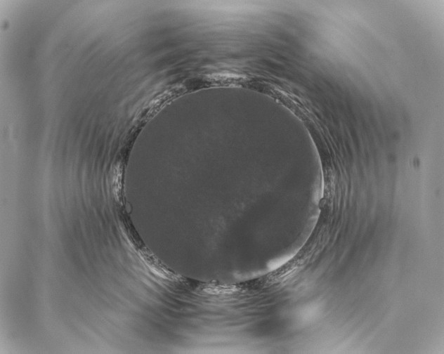 X0000087020767200704301314