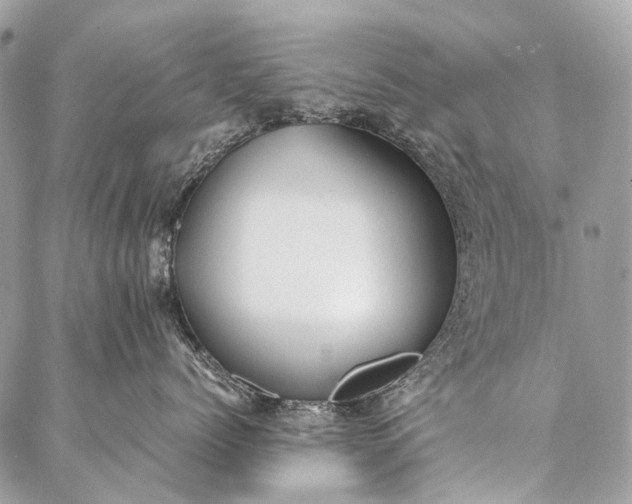 X0000087020768200704301314