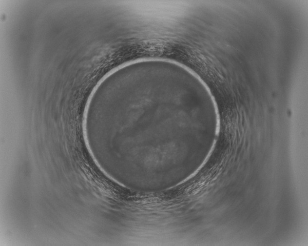 X0000087020769200704301313