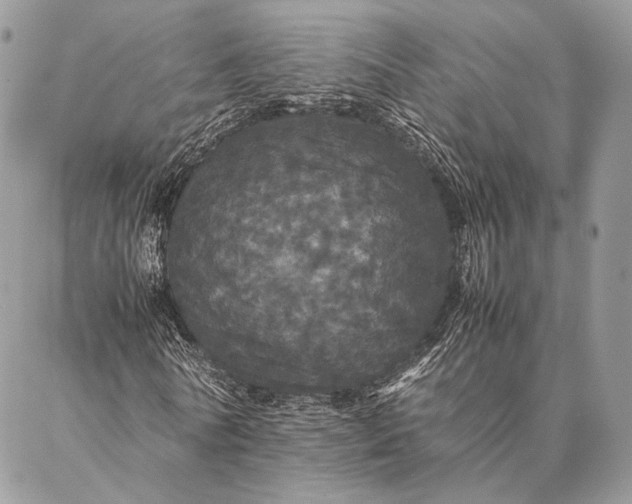 X0000087020770200704301313