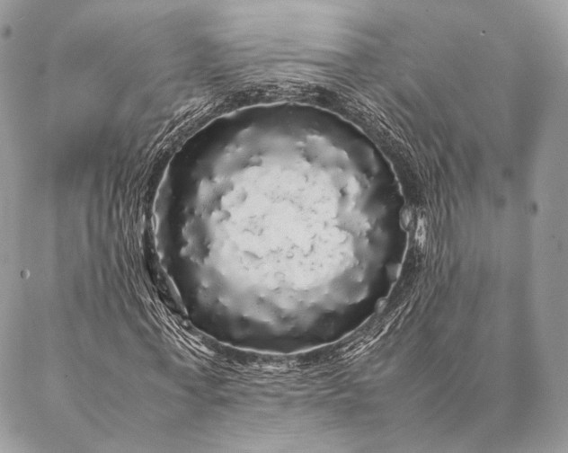 X0000087020771200704301313