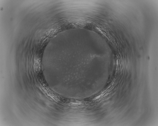 X0000087020772200704301313