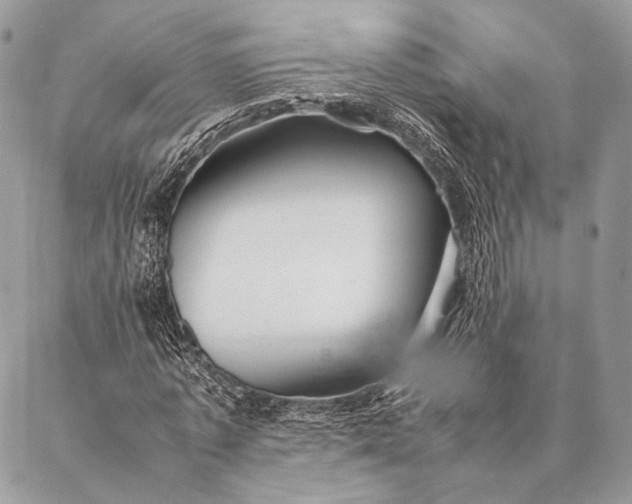 X0000087020773200704301313