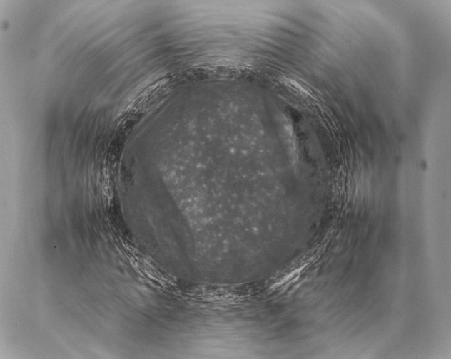 X0000087020774200704301313