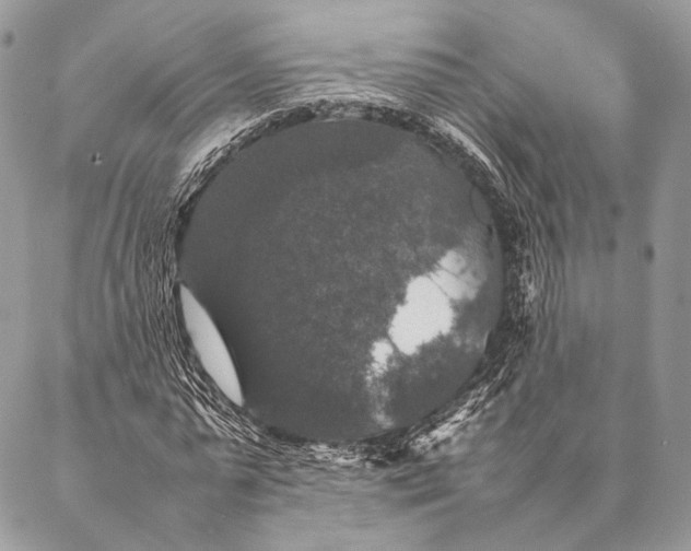 X0000087020775200704301313