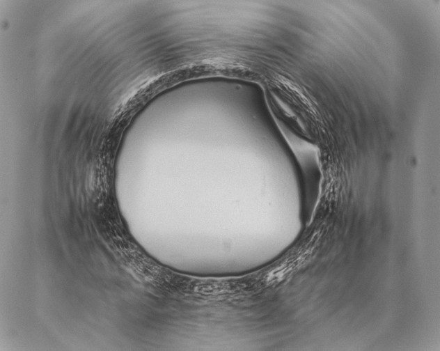 X0000087020776200704301313