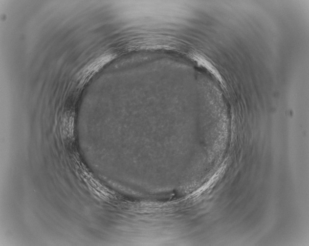 X0000087020777200704301313