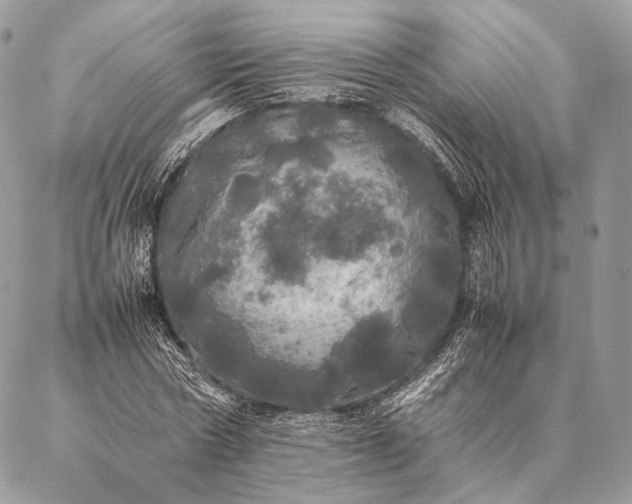 X0000087020778200704301313