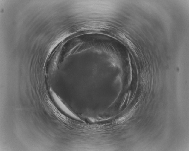 X0000087020779200704301313