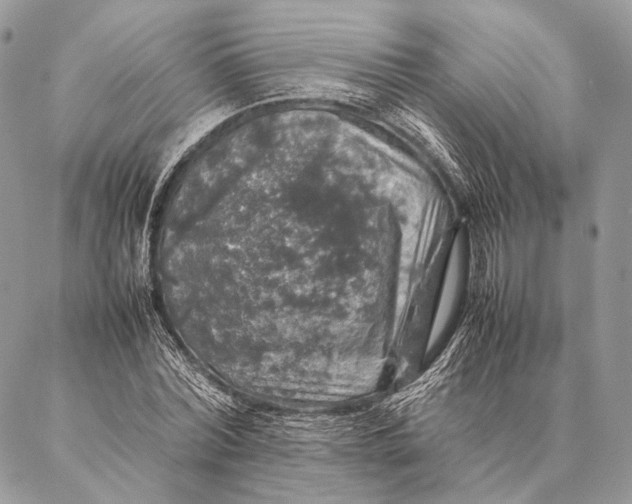 X0000087020780200704301313