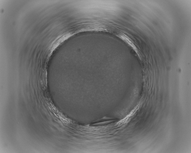 X0000087020781200704301313