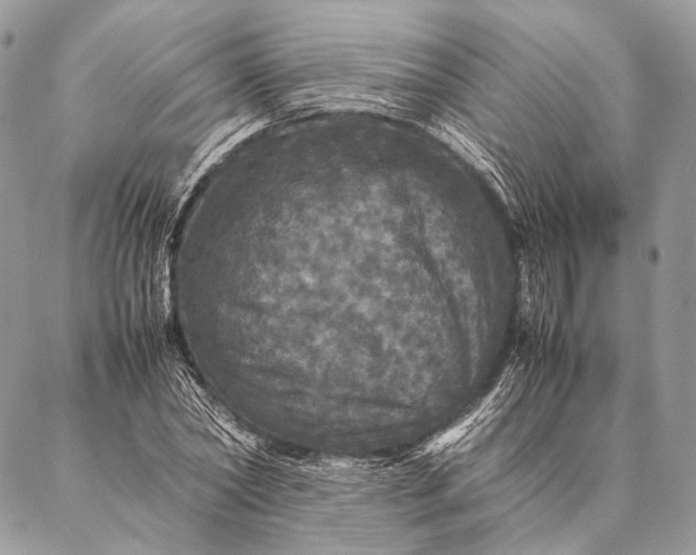 X0000087020782200704301313