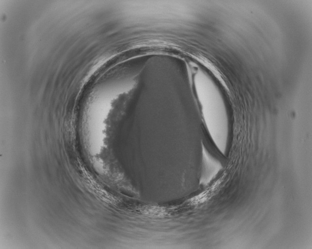 X0000087020783200704301313