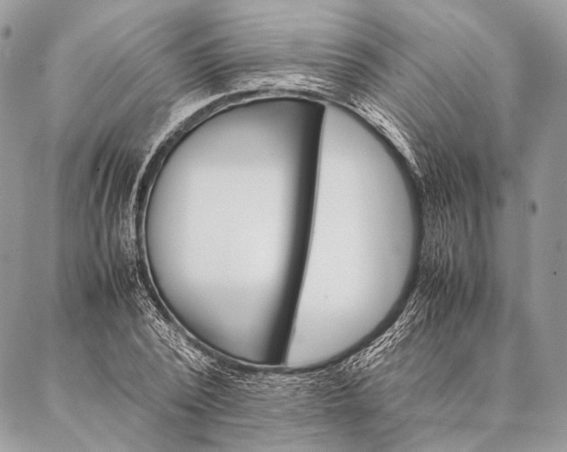 X0000087020784200704301313