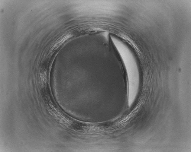 X0000087020785200704301313