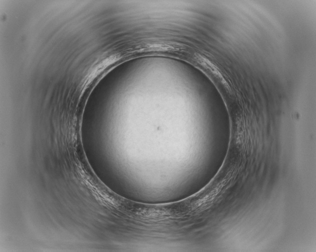 X0000087020786200704301313